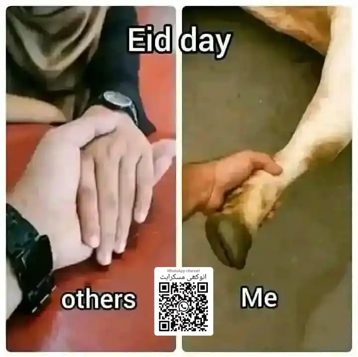 ❣︎اردو شاعری مزاحیہ لطیفے❣︎ Urdu Hindi Funny Jokes Comedy Memes FunRomantic Love Poetry Video Status post