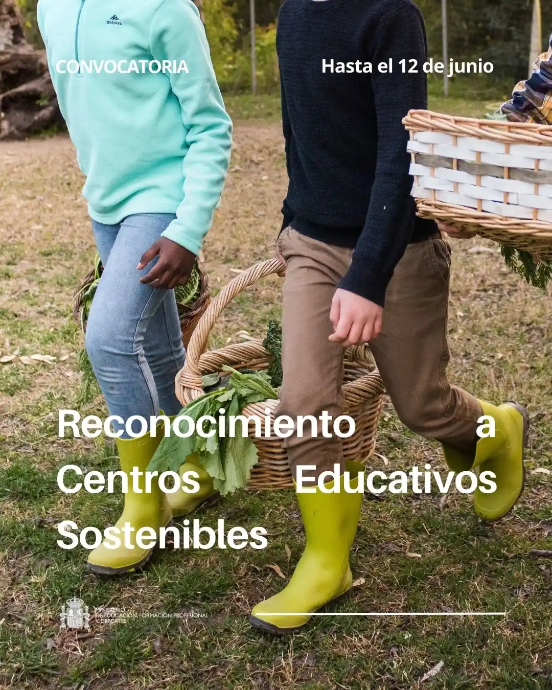 Ministerio de Educación, FP y Deportes post