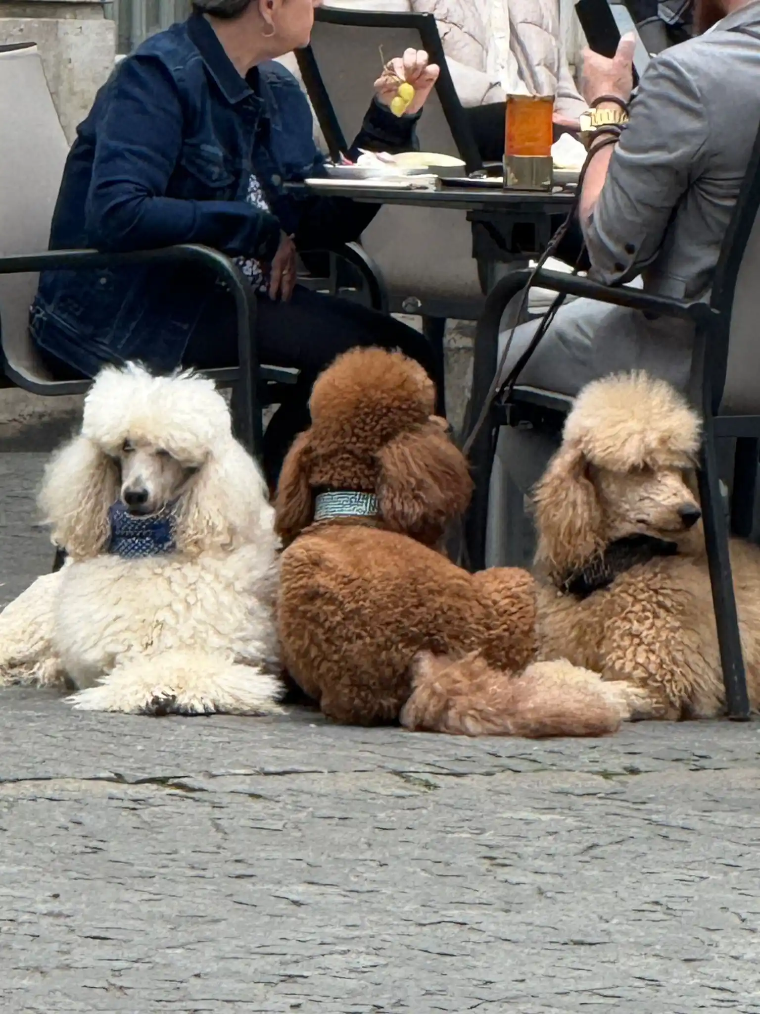 Lara Runarsson  post