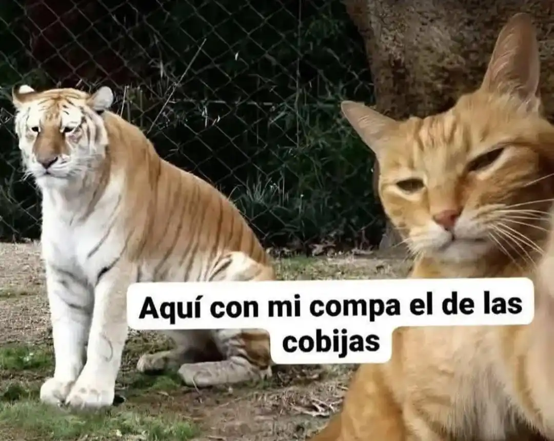 Adolescentes Identificandose.. post