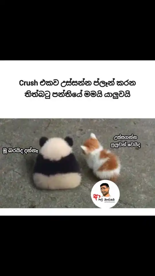 Shan Fx post