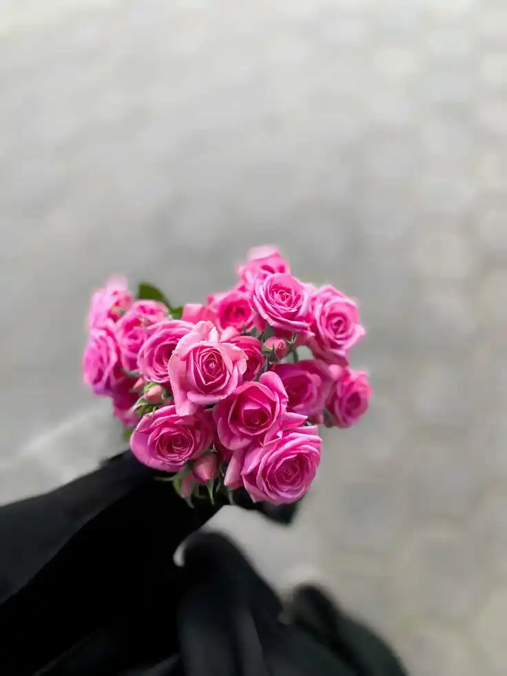رُڪن لَـٰطِـيف ⌘ 🇸🇾💚 post