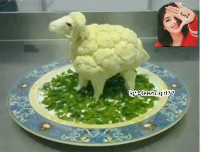 ❣︎اردو شاعری مزاحیہ لطیفے❣︎ Urdu Hindi Funny Jokes Comedy Memes FunRomantic Love Poetry Video Status post