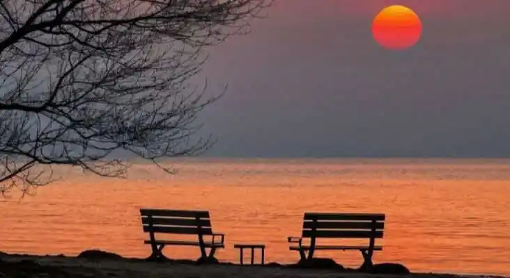 𝑴𝒓 𝑺𝒉𝒂𝑹𝒖𝑲𝒉 𝑫𝒊𝒂𝒓𝒚📚✍️ Urdu Funny Jokes Comedy & Romantic & Love & Sad Poetry Videos & Status post