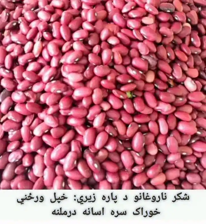 Image from 🩺روغتیا او ژوند/ Health and life🌹: شکر لرونکو ته لوبیا ډېر ګټور خواړه دي🫘 څيړنو موندلي؛ لوبیا د وینې شک...