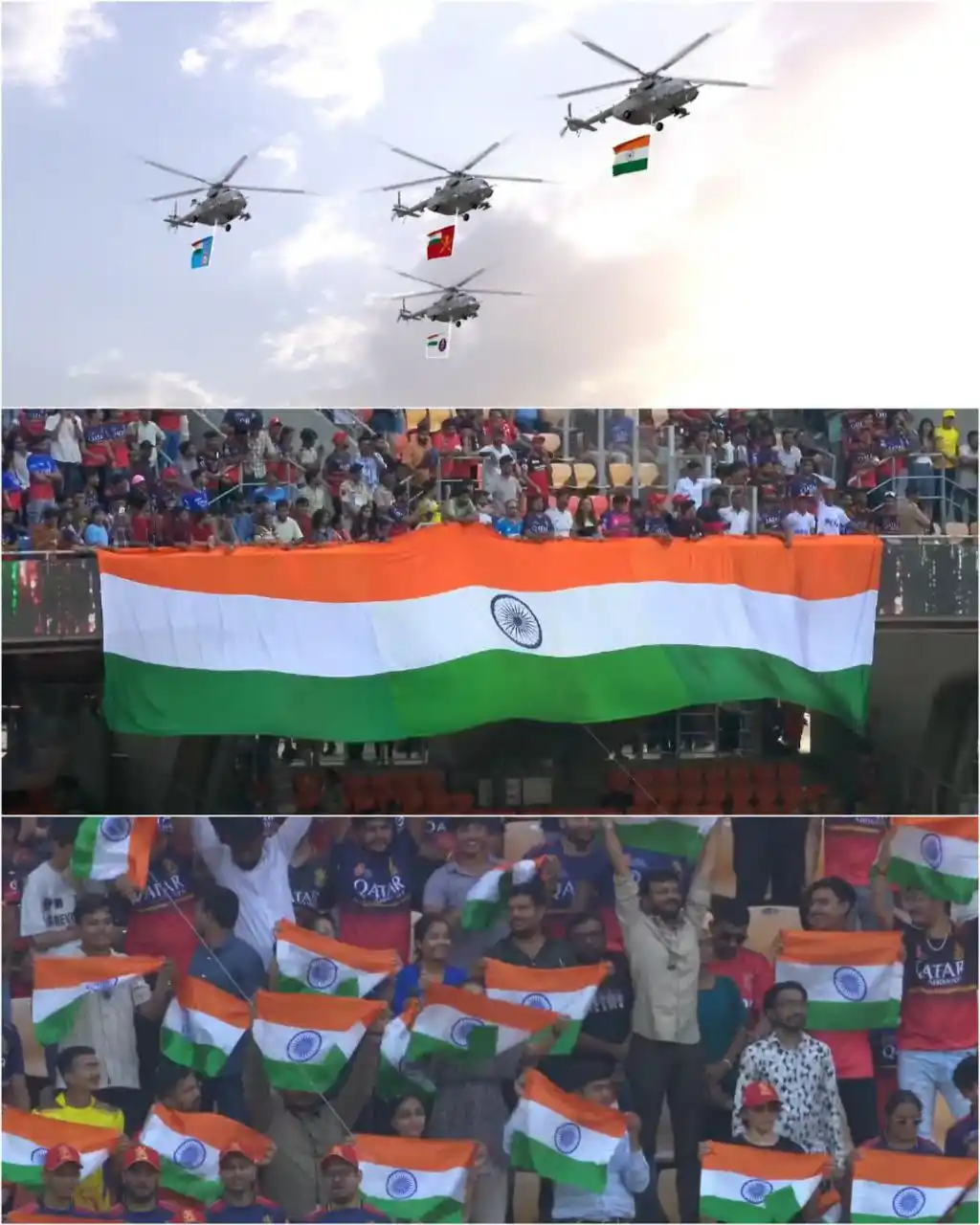 Cricket India 🏏 ✅  IPL RCB Virat Kohli CSK News Shreyas Iyer Score Sports Team Pandya Ms Dhoni post