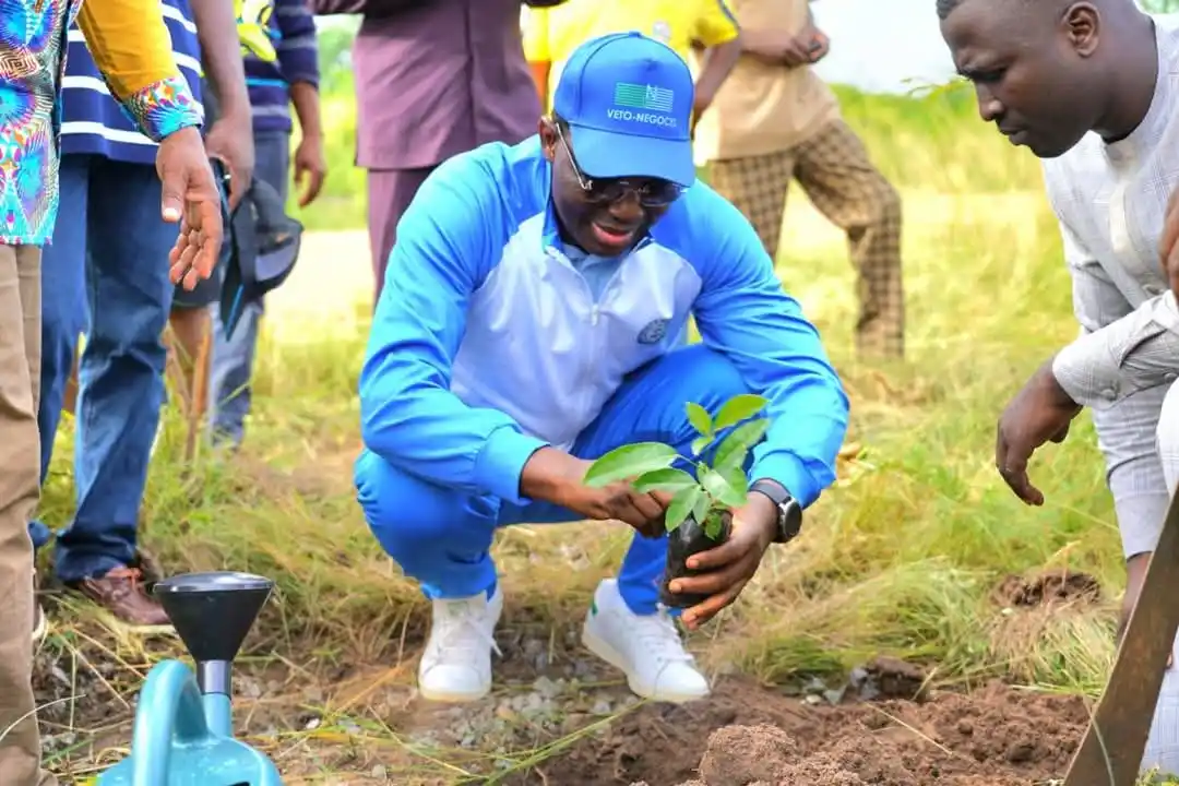 Image from Gouvernement Togolais: 📍 *Tsévié | 1er Juin 2025* 🌳 *48e Journée Nationale de l'Arbre au T...