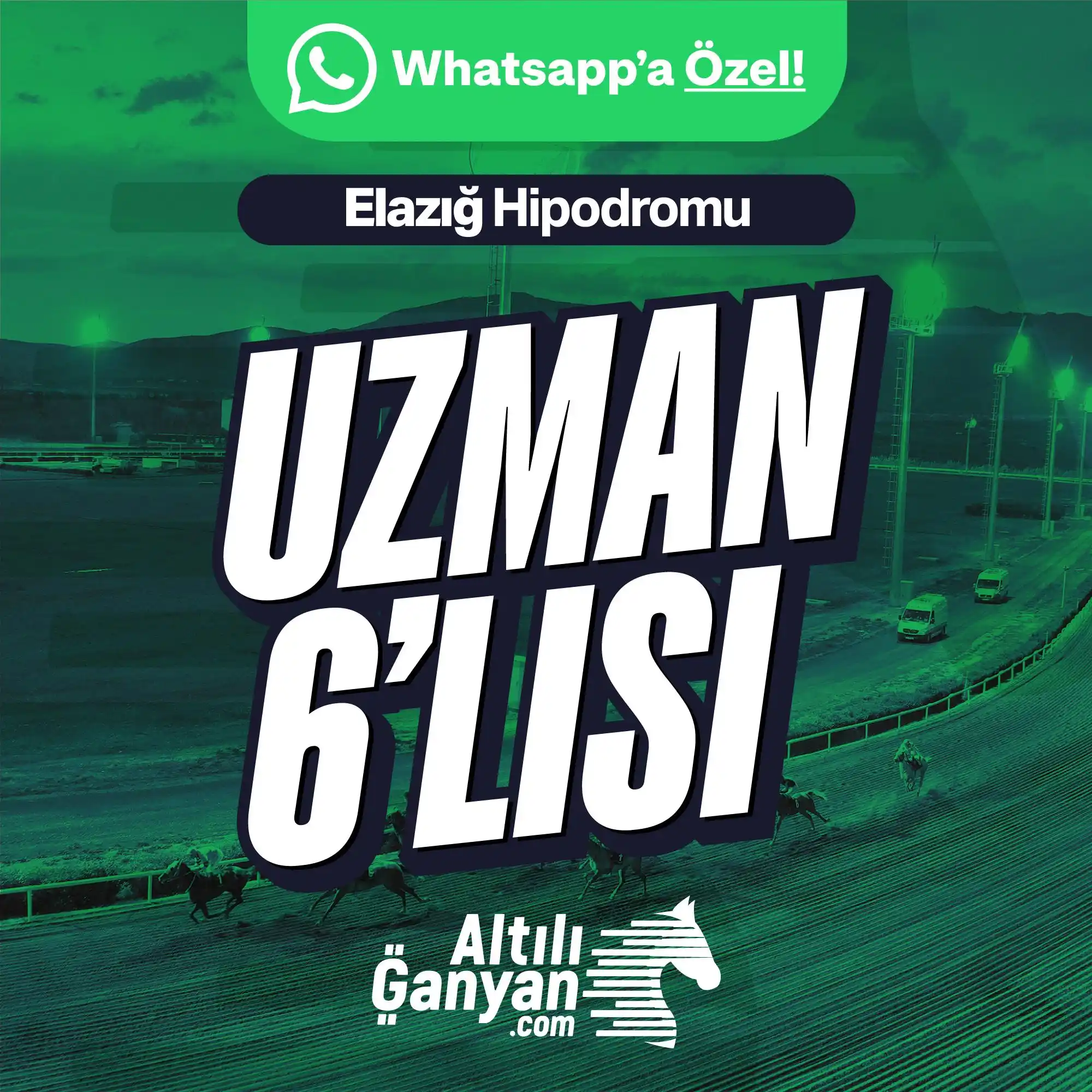 Image from AltılıGanyan.com: ✨ Uzman yazarımız Ferdi Akıncı'nın *WhatsApp'a özel* Elazığ 2. 6'lısı!...