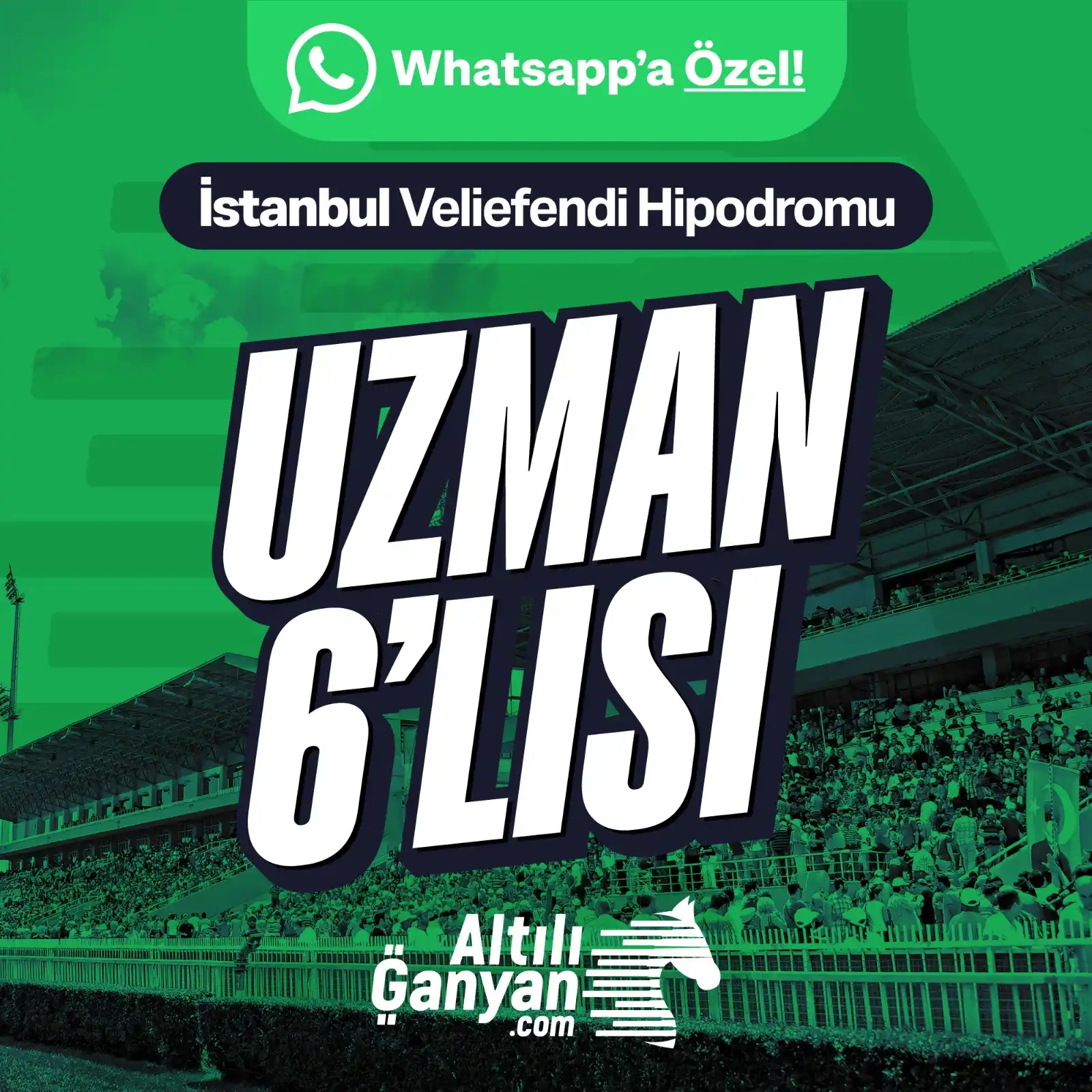 AltılıGanyan.com post