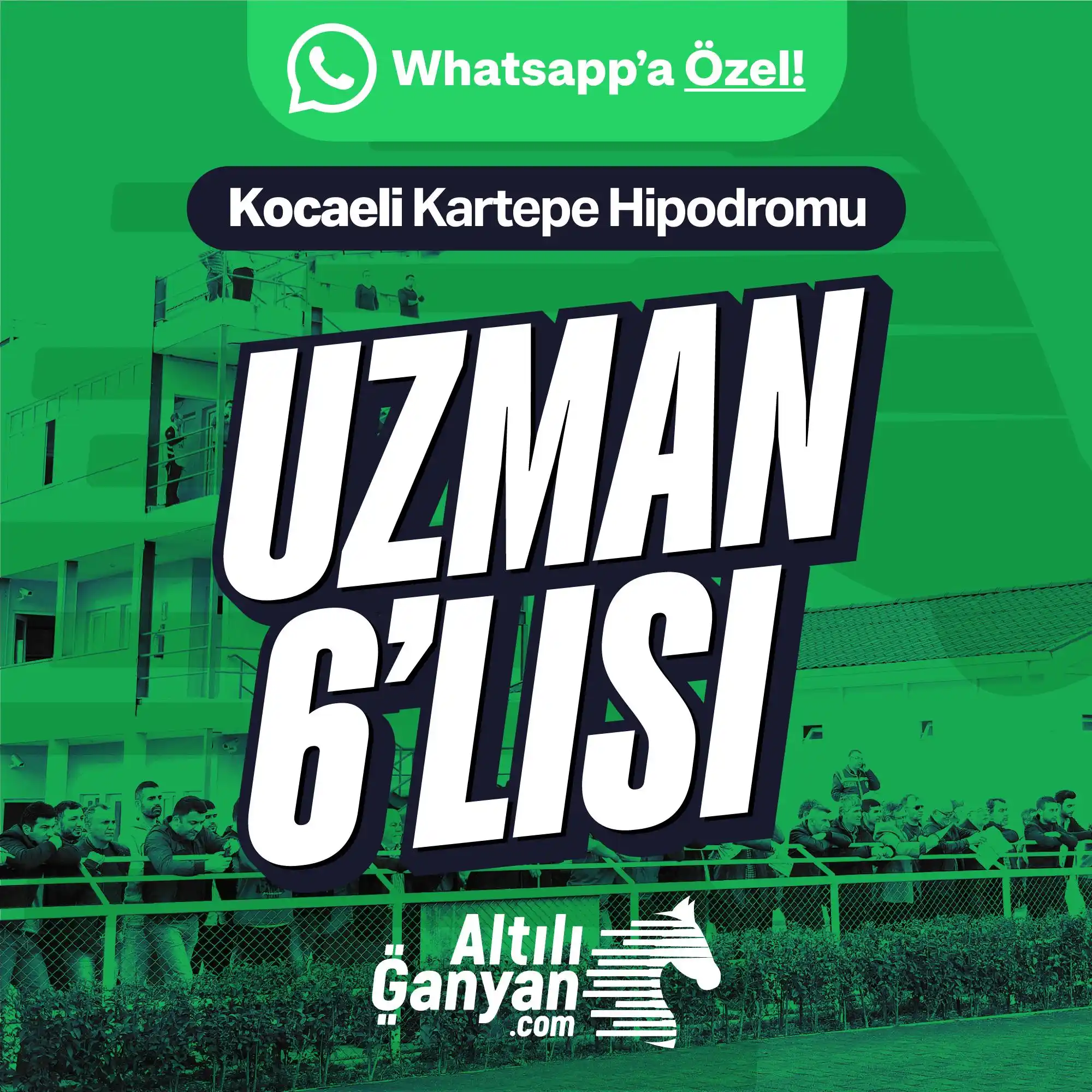 Image from AltılıGanyan.com: ✨ Uzman yazarımız Galopçu Murat, WhatsApp'a özel Kocaeli 2. 6'lısını h...