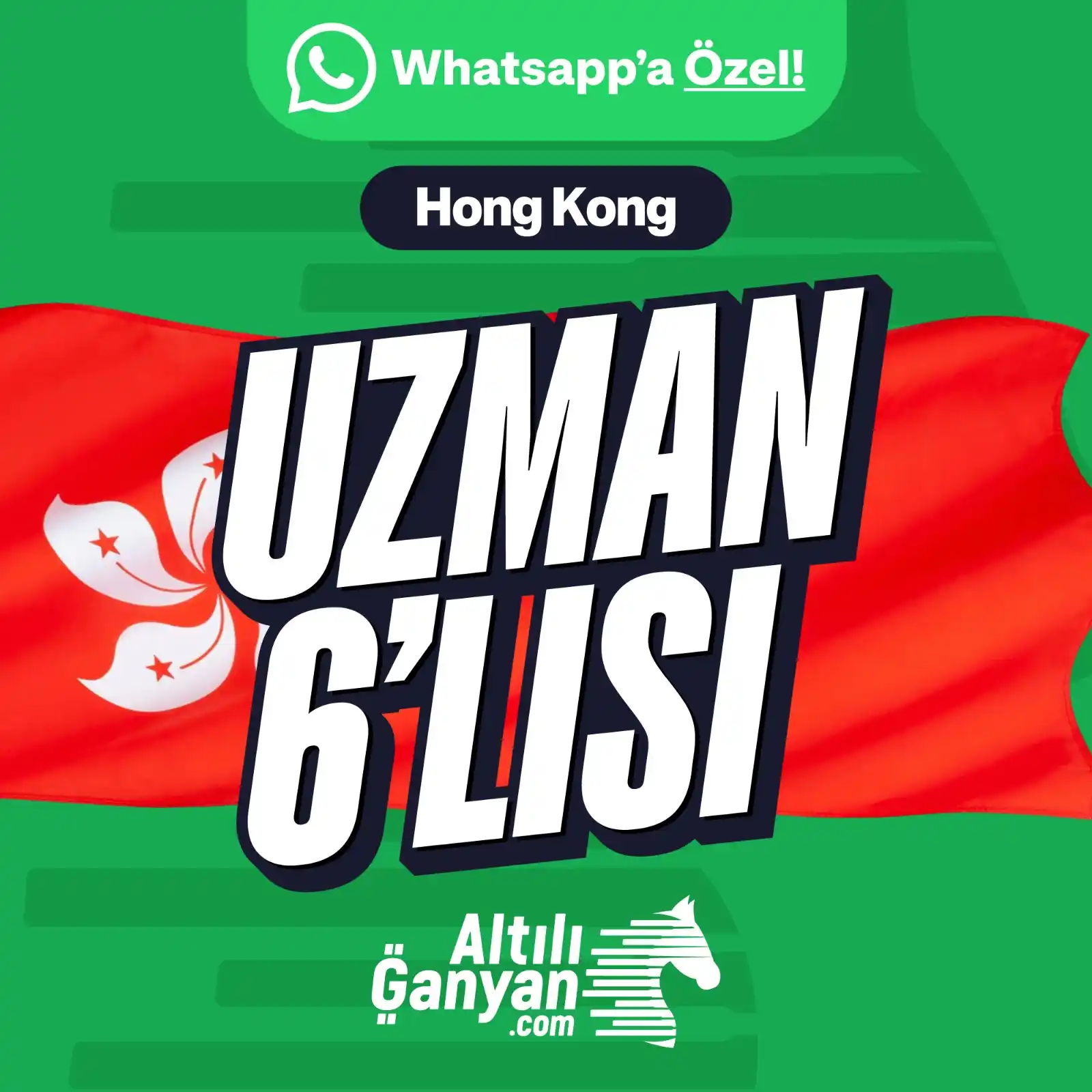 AltılıGanyan.com post