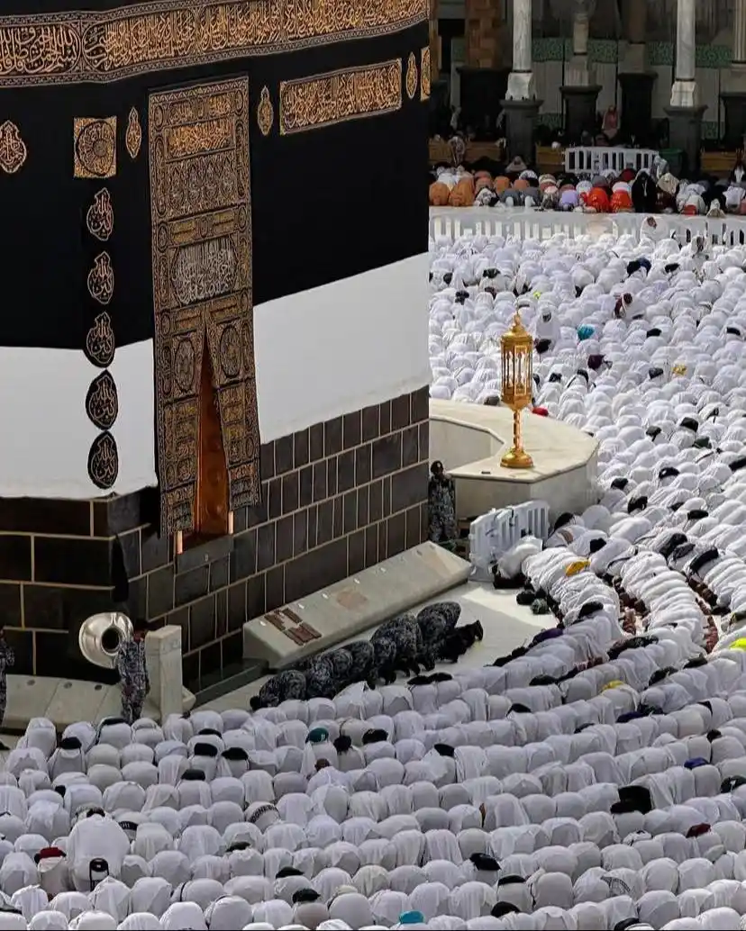 رُڪن لَـٰطِـيف ⌘ 🇸🇾💚 post