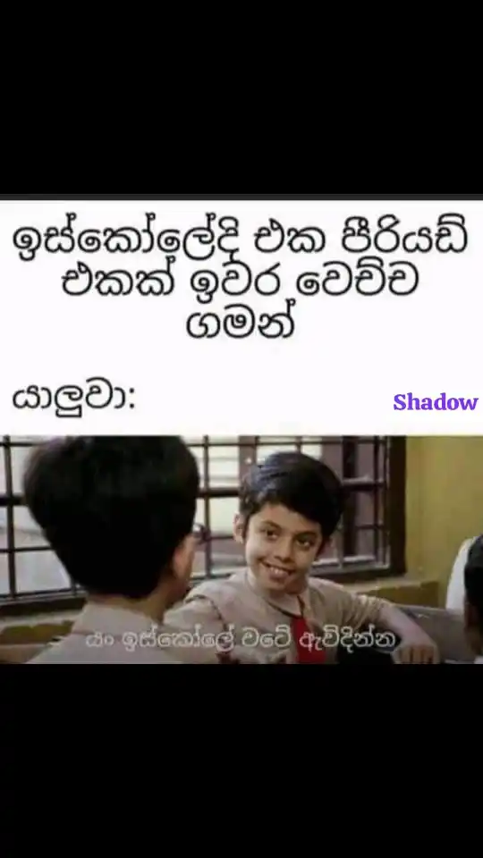 Shan Fx post