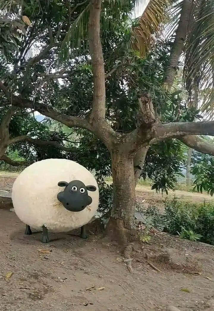 ⻉ BIBOT WEA ֹㅤ۪ ۫ ⊹ post