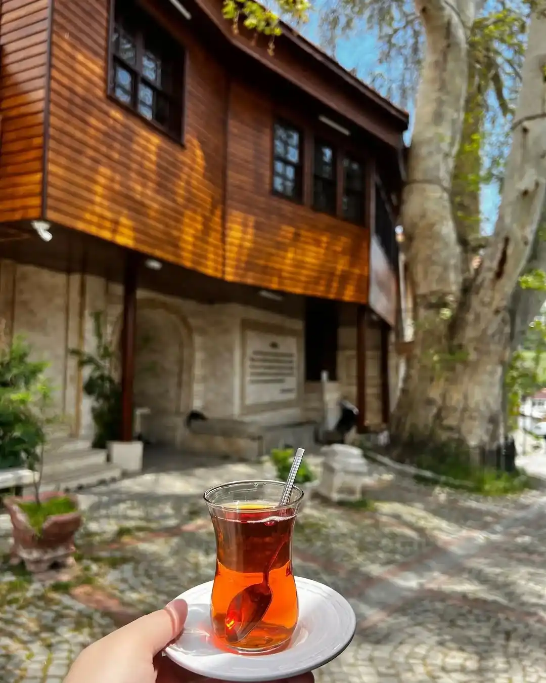 Image from Risale-i Nur: 📌 Barla, ehl-i imanın manevî imdadına gönderilen Risale-i Nur Külliya...