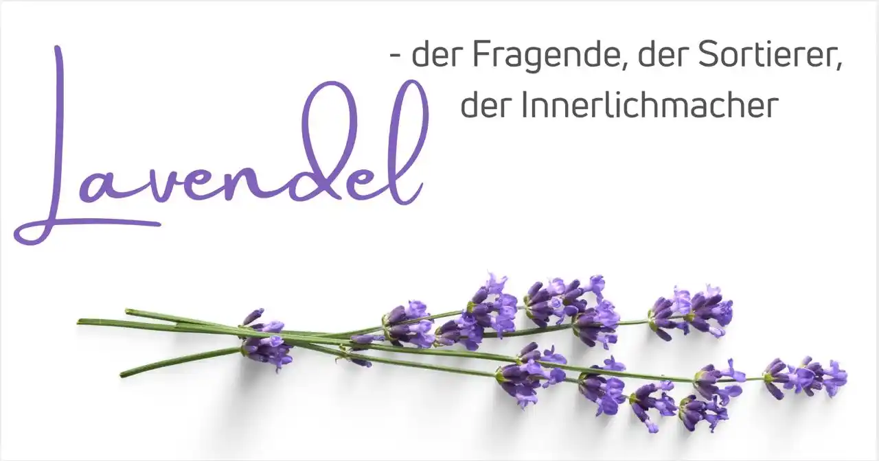 Image from Sabrina Herber_ViVere-Aromatherapie: *Der letzte Duft-Impuls zur Überprüfung und Stabilisierung deines Lade...
