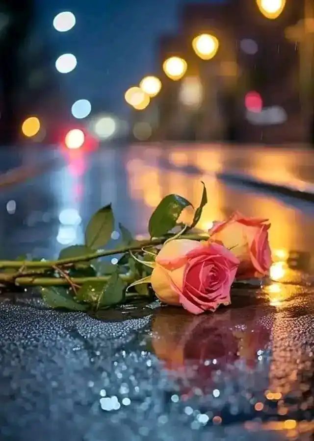 ♥️🥀محفــــــلِ عِشــــــق🥀 post