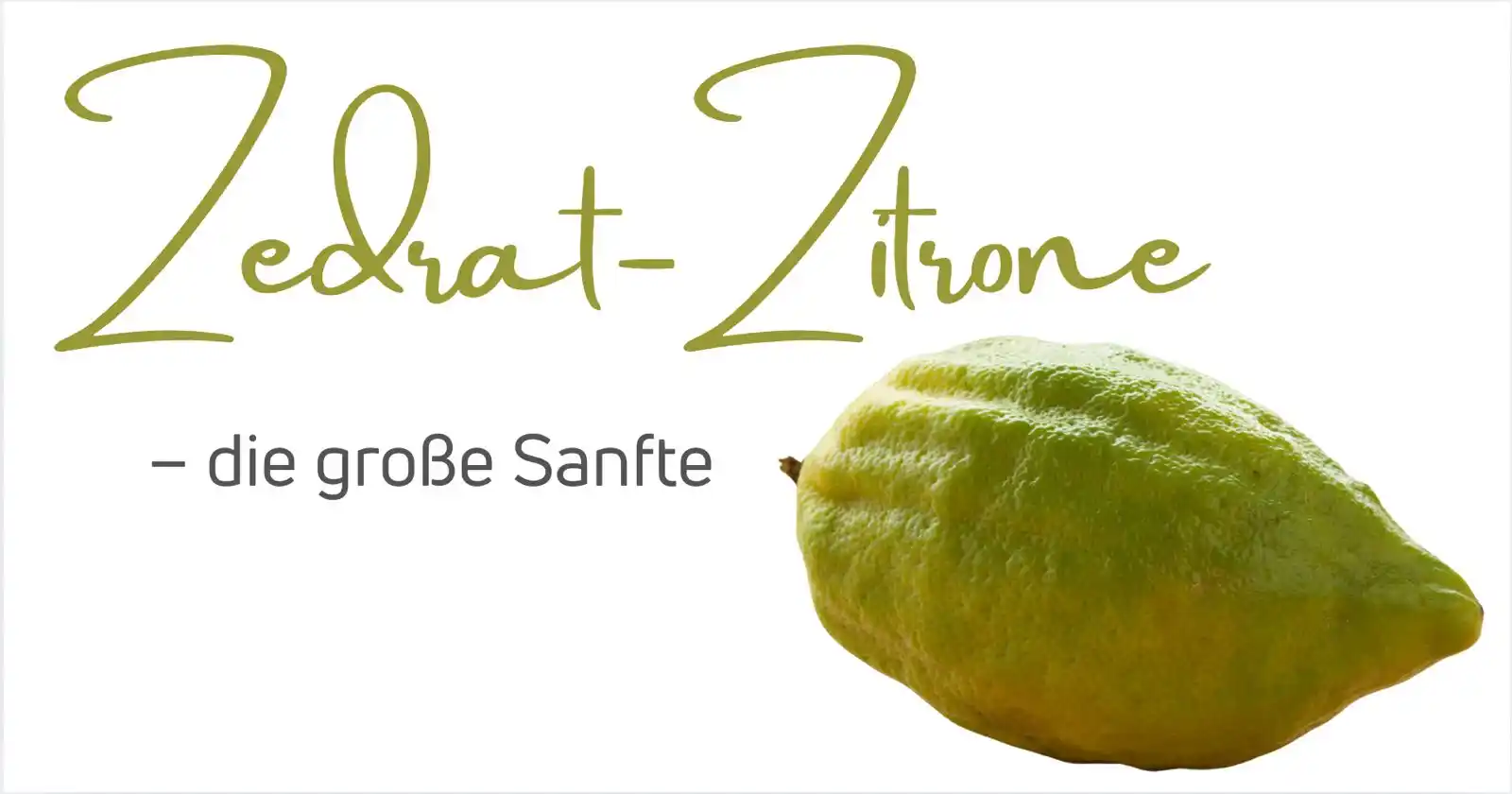 Image from Sabrina Herber_ViVere-Aromatherapie: 🍋 *Zedrat Zitrone – die große Frucht mit der dicken Schale* Zedrat Z...