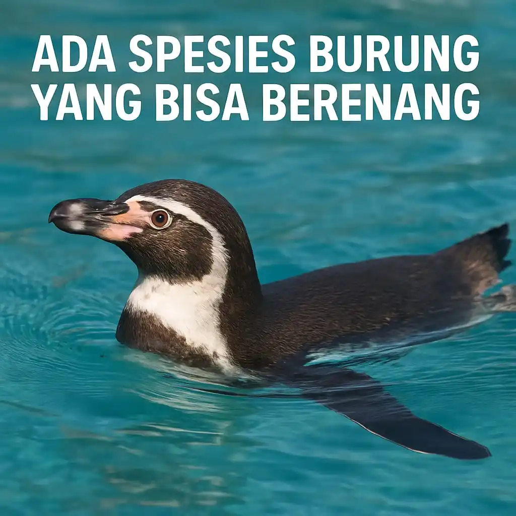 Belajar | Fakta Dunia 🌏📚 post