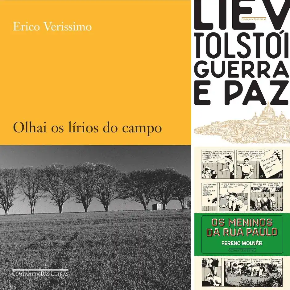 Image from Garimpando Livros em Oferta 📚📱: 📱 *Ebooks em Oferta* ⏩ Olhai os lírios do campo, POR R$ 13,28 http...