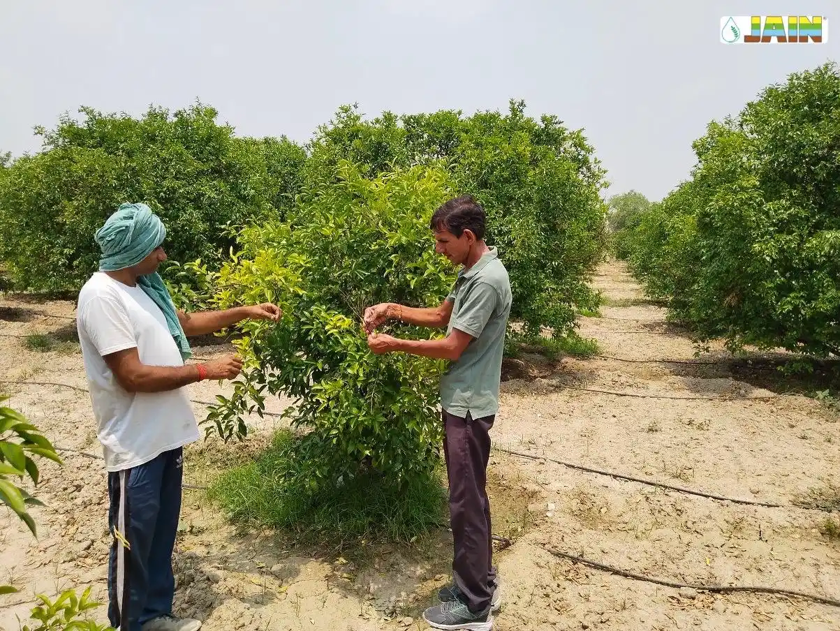 Image from Jain Irrigation Systems Limited: Empowering farmers through innovation! In one frame, farmers collabor...