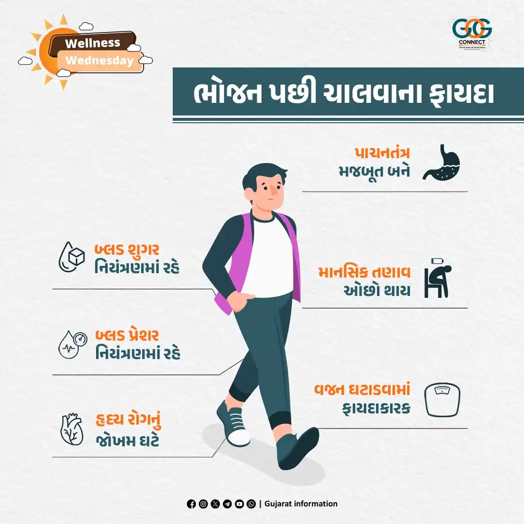 Image from Gujarat Information: માહિતી મોર્નિંગ...   <a class="text-blue-500 hover:underline cursor-po...
