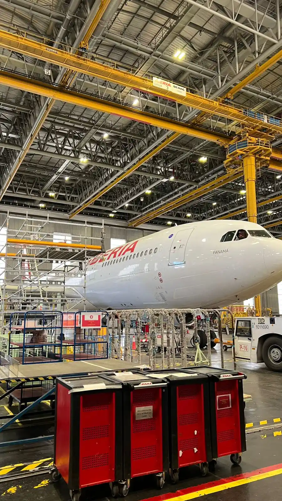 Image from Aviação | Notícias e curiosidades: No Hangar 6, um A330 saindo do forno 🆕...