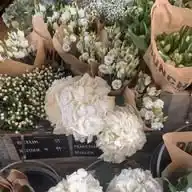ֹ    ׅ   ꒰  ֹ 🐢 ៸ Ɩ𑄝ʋ𝖾Ɩყ deѕ 𝖿Ꙇeυ𝗋ѕ   ⸼ WhatsApp Channel