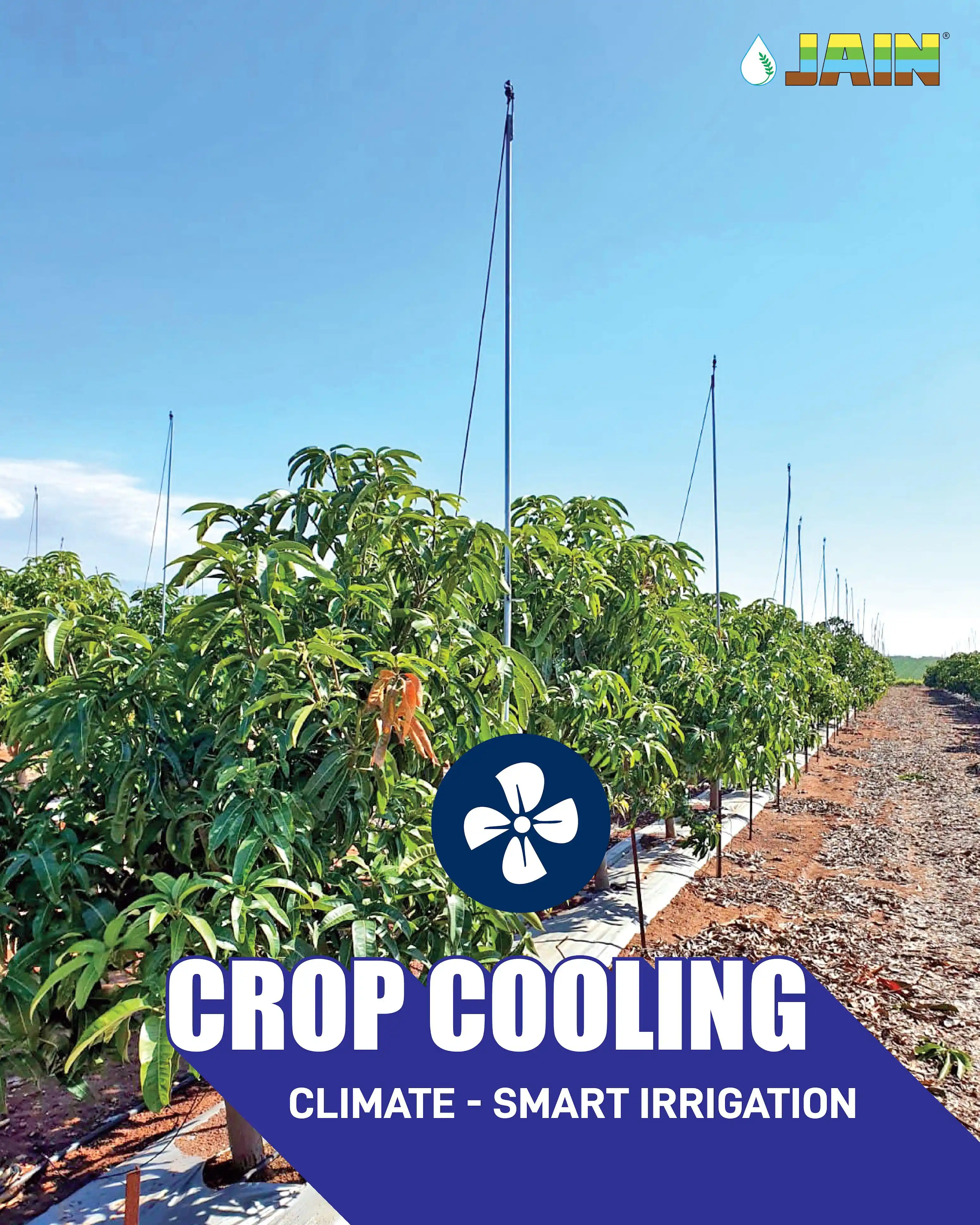 Image from Jain Irrigation Systems Limited: Scorching sun? 🌞 🥵 No problem!! Jain Irrigation’s Crop Cooling Spri...
