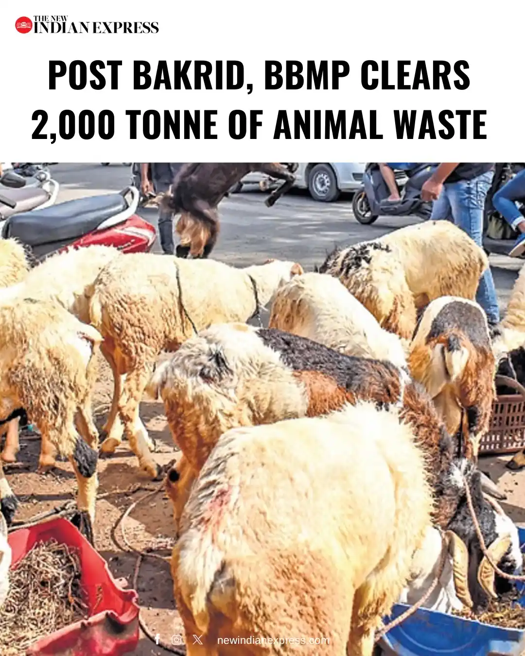 Image from The New Indian Express: With lakhs of sheep, goats and large animals sacrificed during the fes...