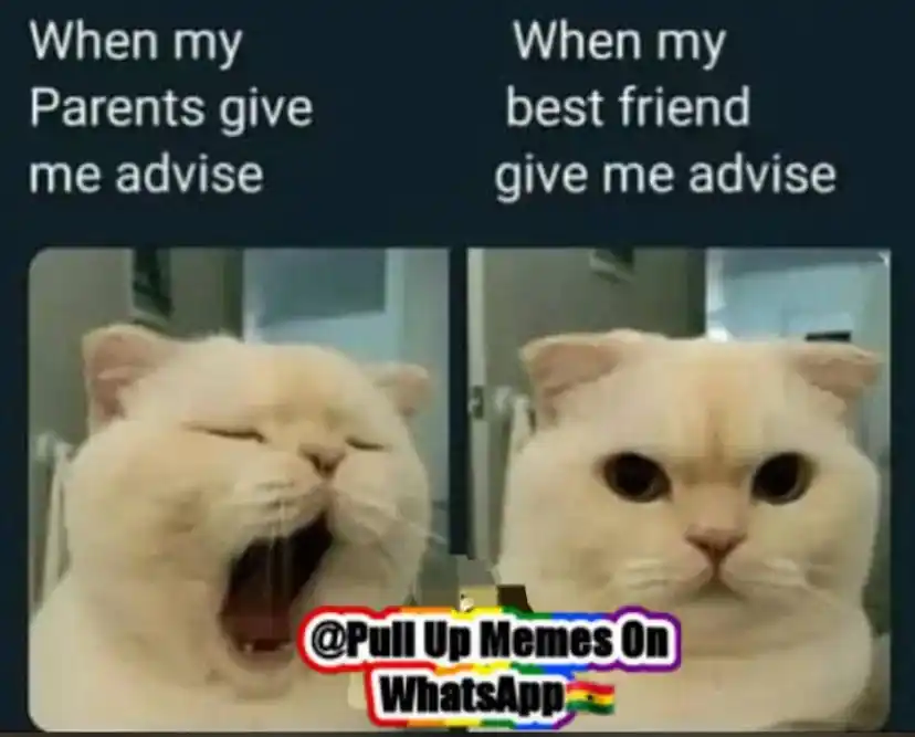 Memes hub™️💔🤣 post