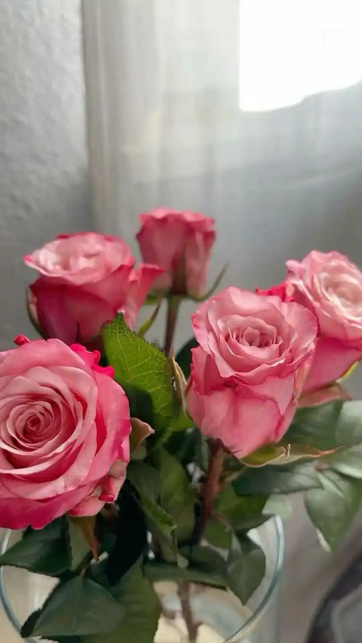 Image from Islamic Girls' 🕊️♥️🔐: انسانیت کی معراج یہ ھےکہ لوگ تجھ سے خوش رہیں, تو کسی کے لئے باعث تکلیف...