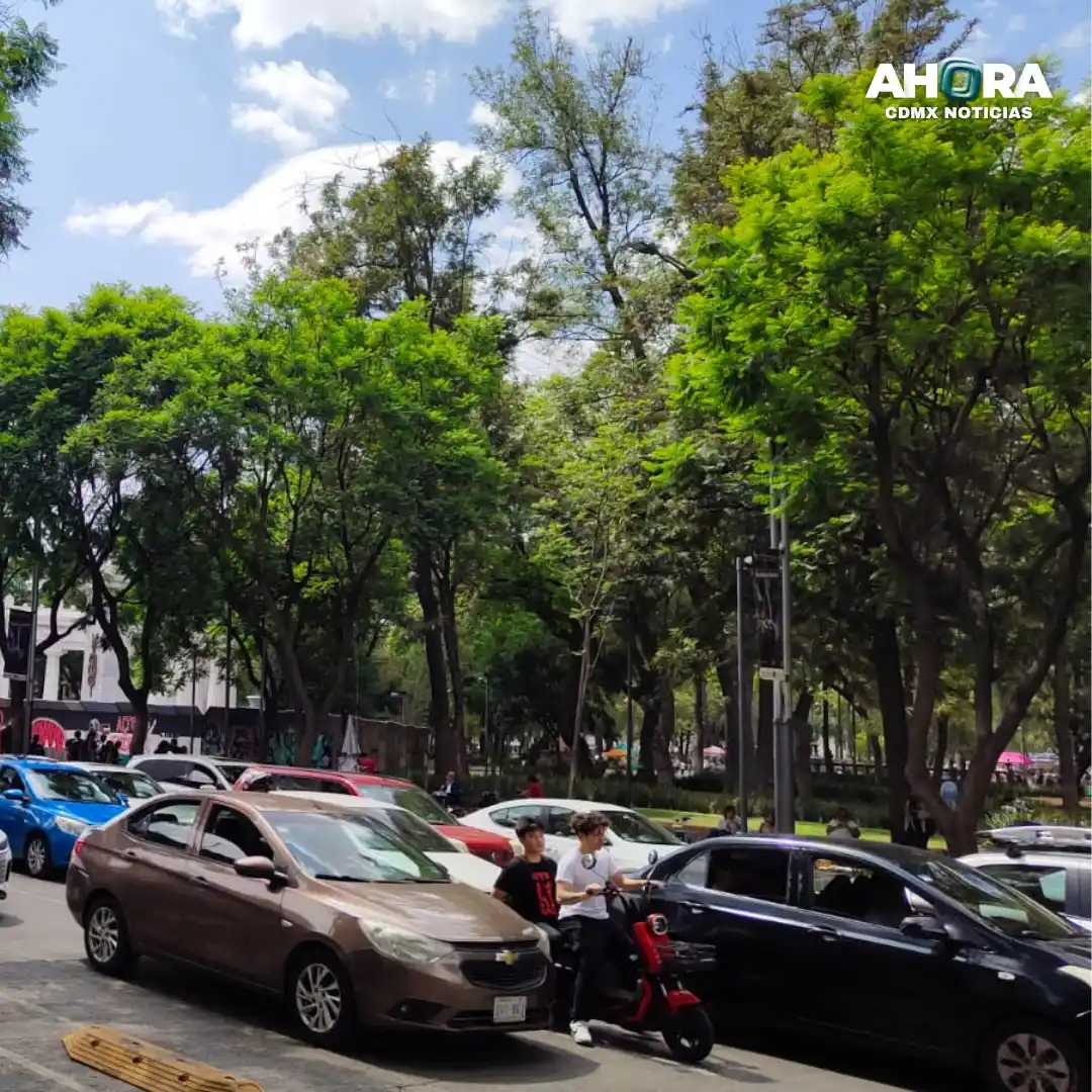 Image from Ahora Tabasco Noticias 🗞️: *¡Buenas tardes! 🙌🏼 Ahora CDMX Noticias te comparte las notas más re...