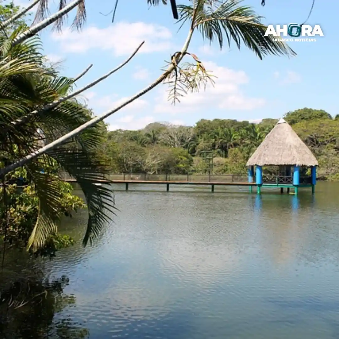 Image from Ahora Tabasco Noticias 🗞️: *¡Buenas tardes! 🙌🏼 Ahora Tabasco Noticias te comparte las notas más...