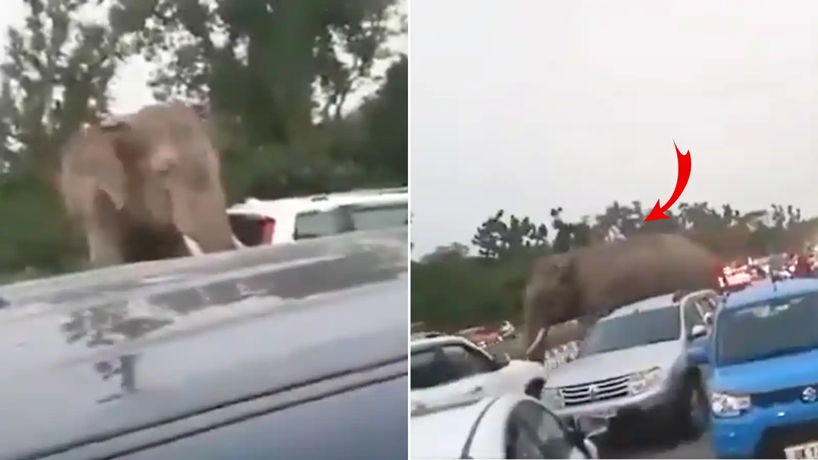 Navbharat Times Viral Khabar post