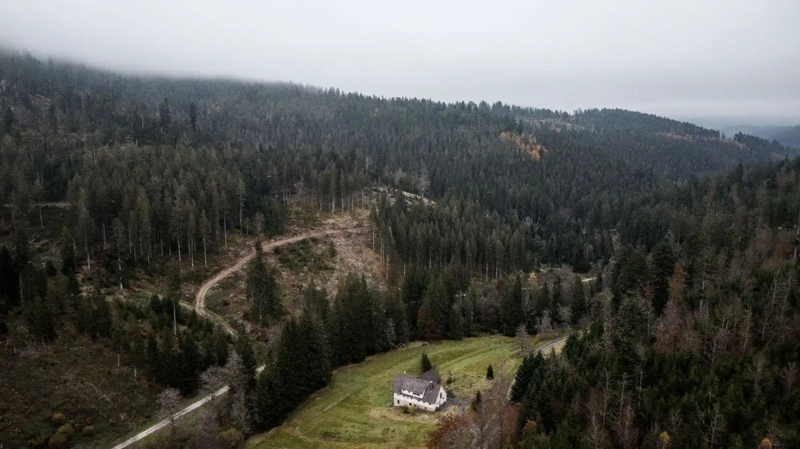 Image from BNN: 🔴 Rechnungshof kritisiert Deal zum Nationalpark Schwarzwald https://b...