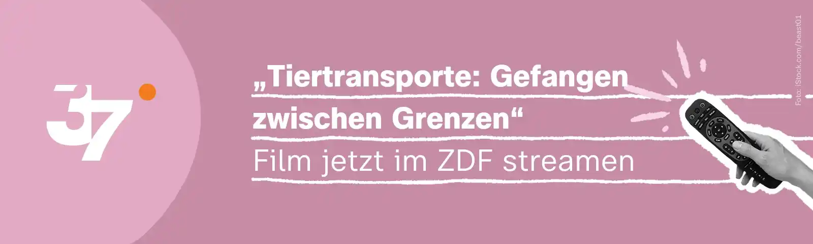 Image from ZDF 37 Grad: *„So darf man mit Tieren nicht umgehen, da könnte ich heulen“,* sagt H...