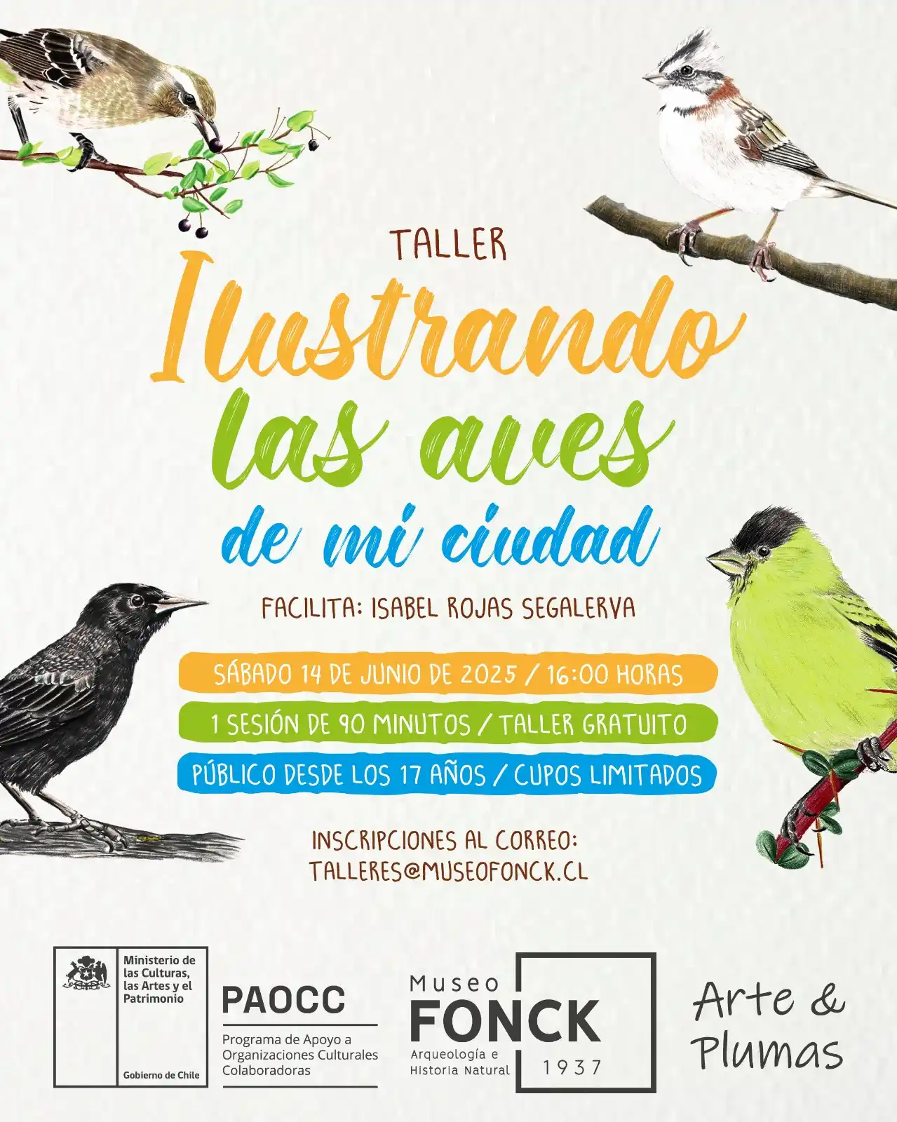 Image from DiversaDivulga: ✨Taller gratuito de pintura en Museo Fonck inspirado en aves de la Reg...