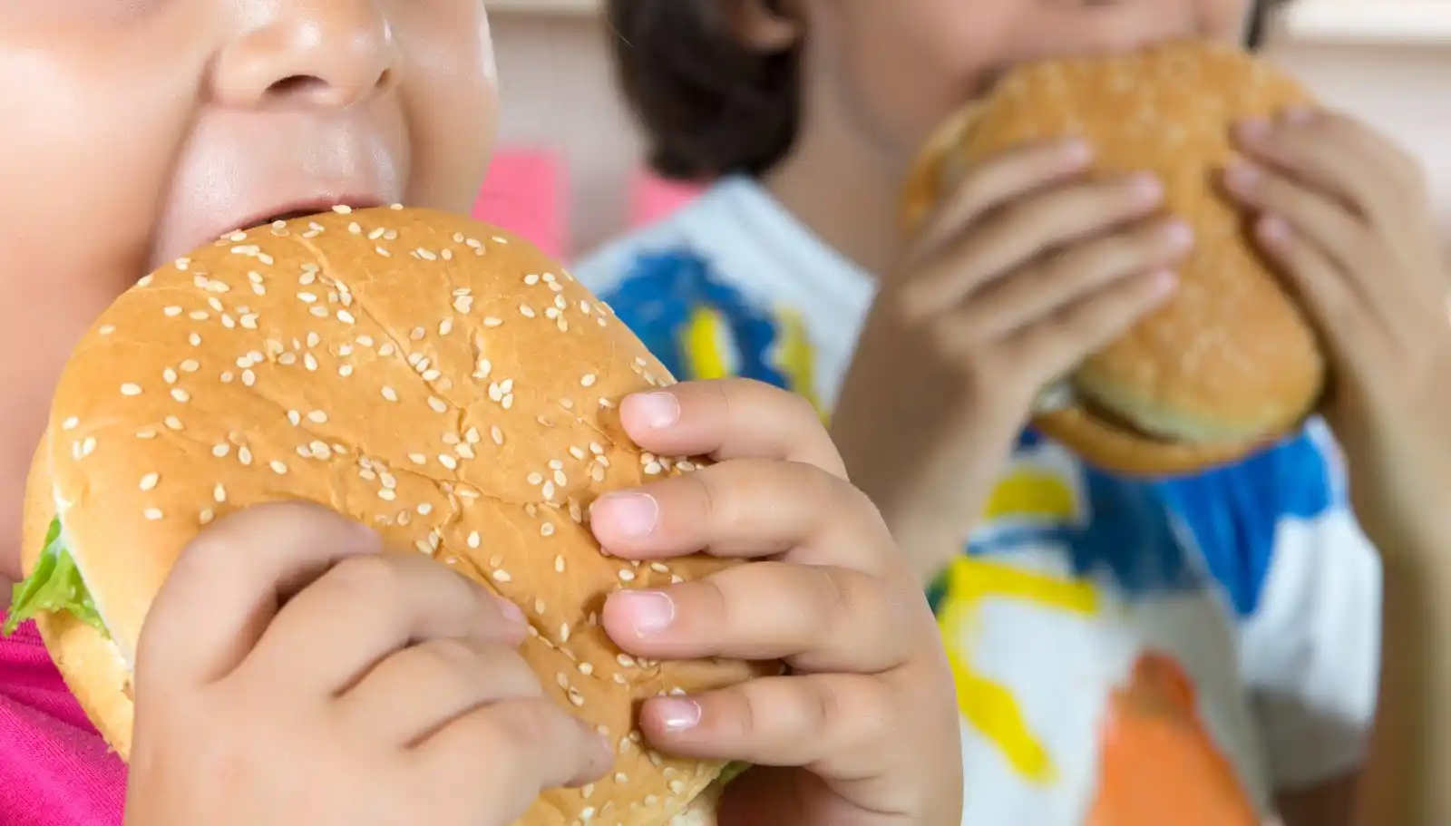 Image from TF1 Info: 🍔 *Un Burger King veut s'implanter près d'une école, la mairie s'y op...
