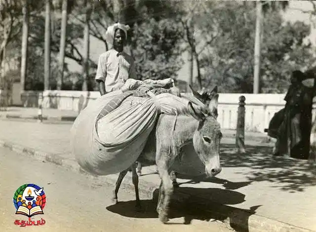 Image from கதம்பம்: வெள்ளை மனம் படைத்தவர்கள் – நம் வண்ணார்கள்! அந்தக் காலத்தில் வாரம் அல்...