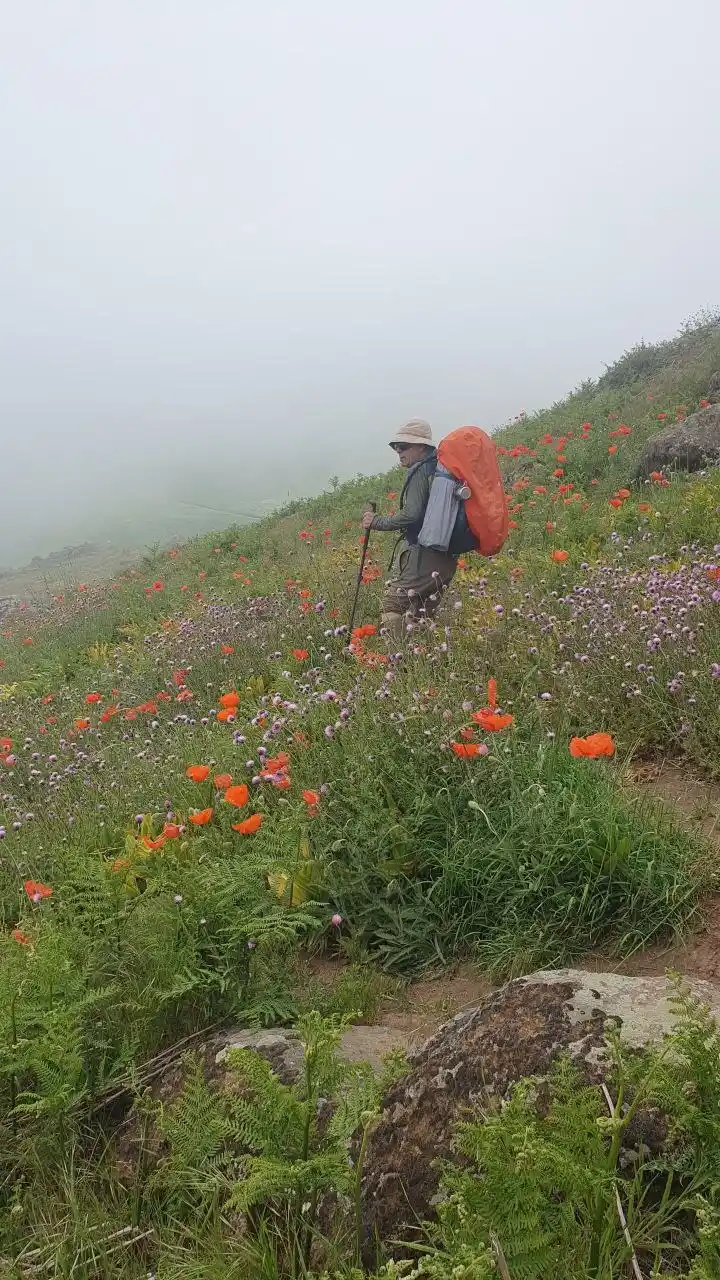 Image from کوهیاران: زندگی... رسم پذیرایی از تقدیر است.. سهم من هر چہ ڪہ هست .. من بہ انداز...