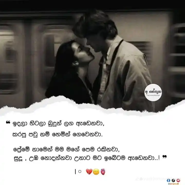 @𝐎𝐨𝐬𝐡𝐢 𝐃𝐫𝐞𝐚𝐦 𝐖𝐨𝐫𝐥𝐝..ᥫ᭡🤍🇱🇰״ post