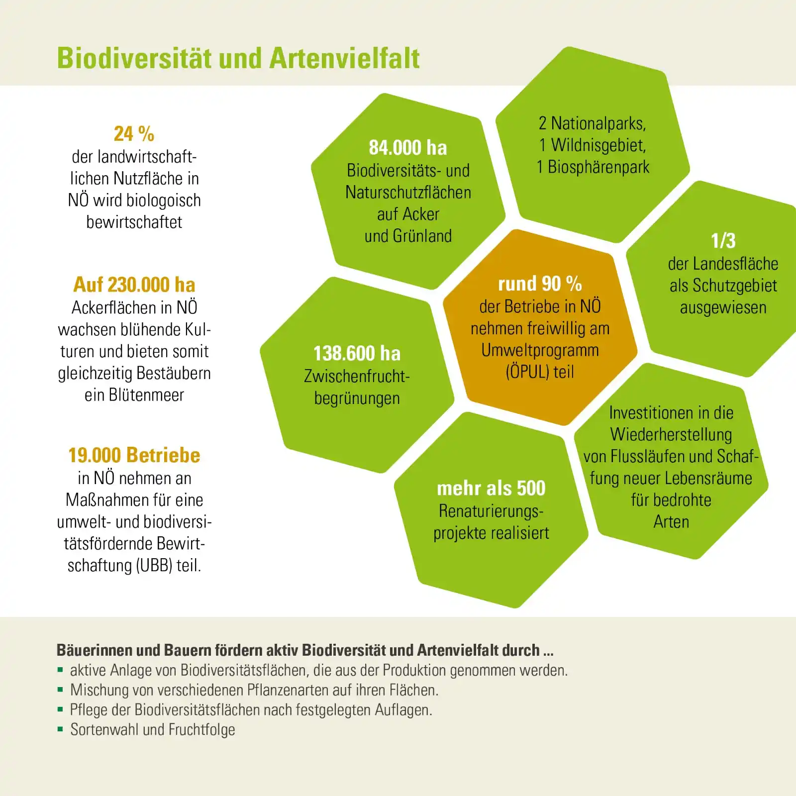 Image from Landwirtschaft verstehen: *Biodiversität und Artenvielfalt* Bäuerinnen und Bauern fördern aktiv ...