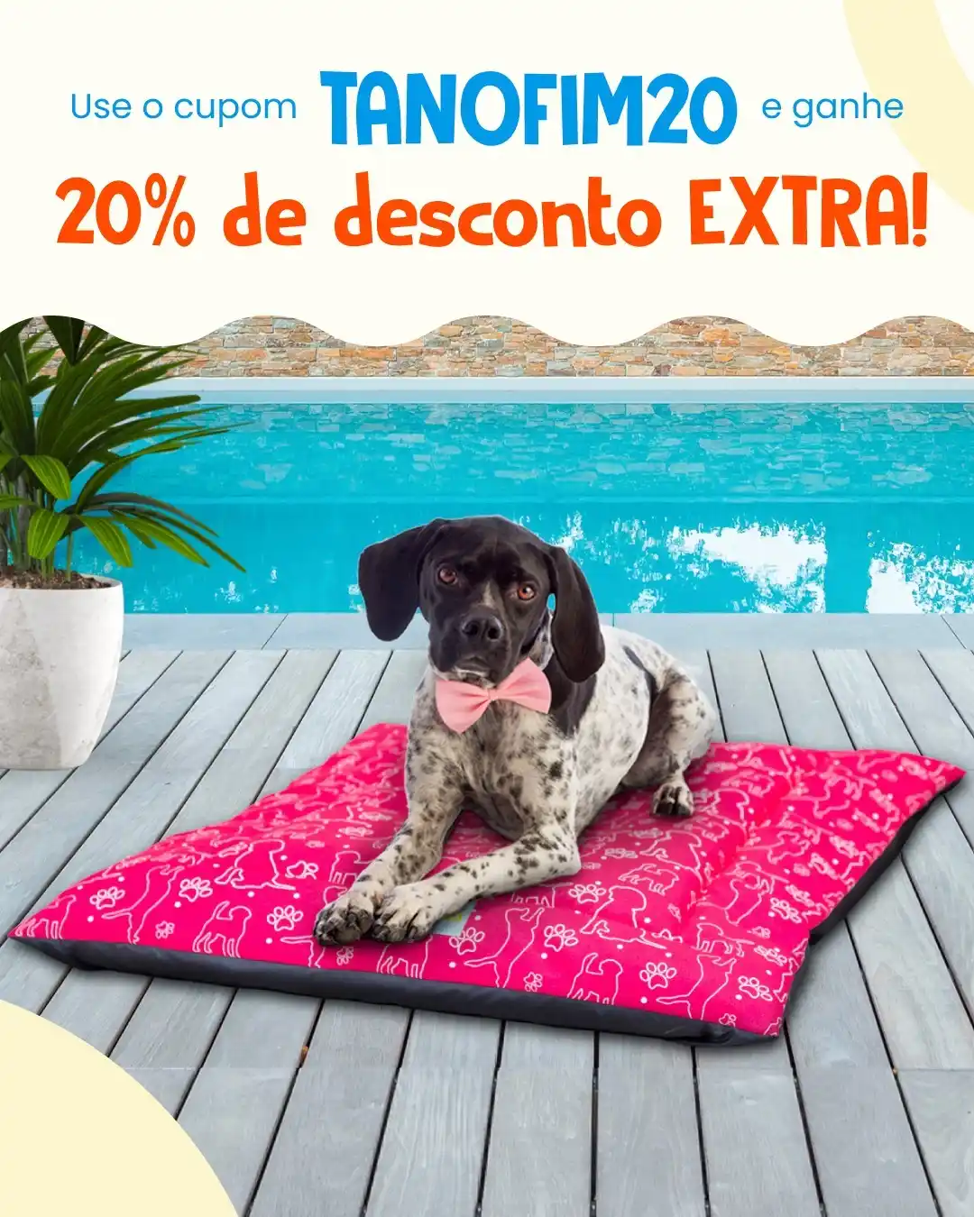 Matilha VIP 🐶🐱 post
