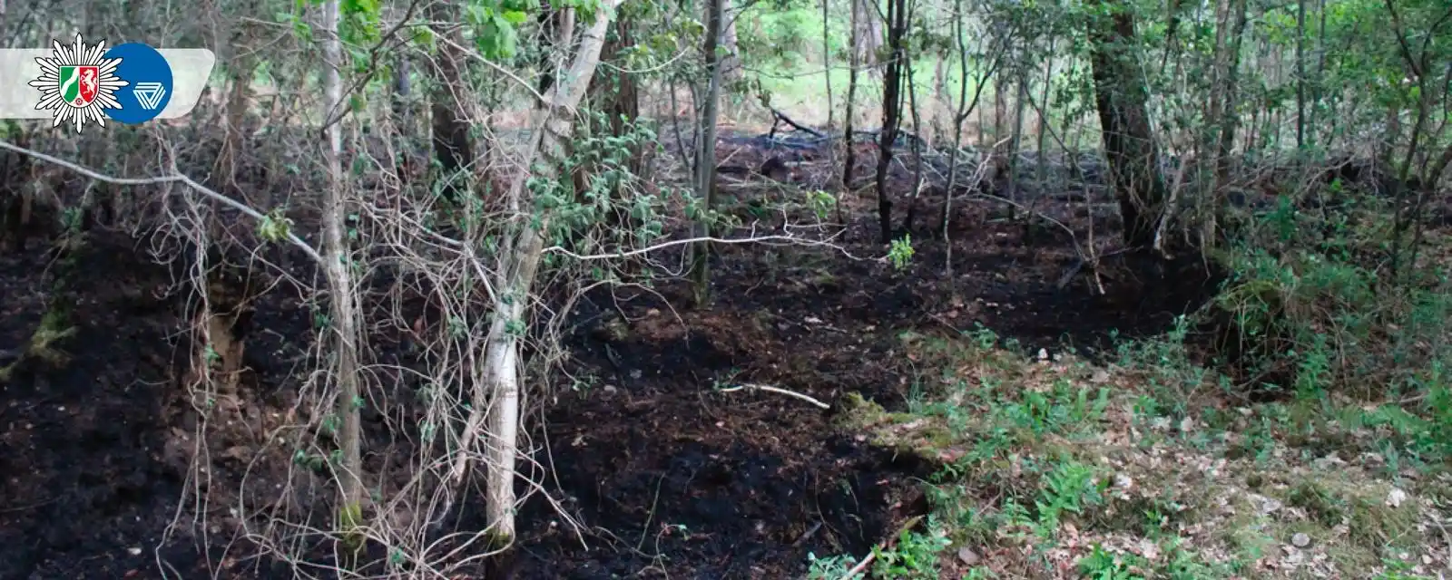 Image from Polizei NRW Viersen: 📍 *Nettetal/Leuth* Nach den Waldbränden im Grenzwald bei Leuth sitze...