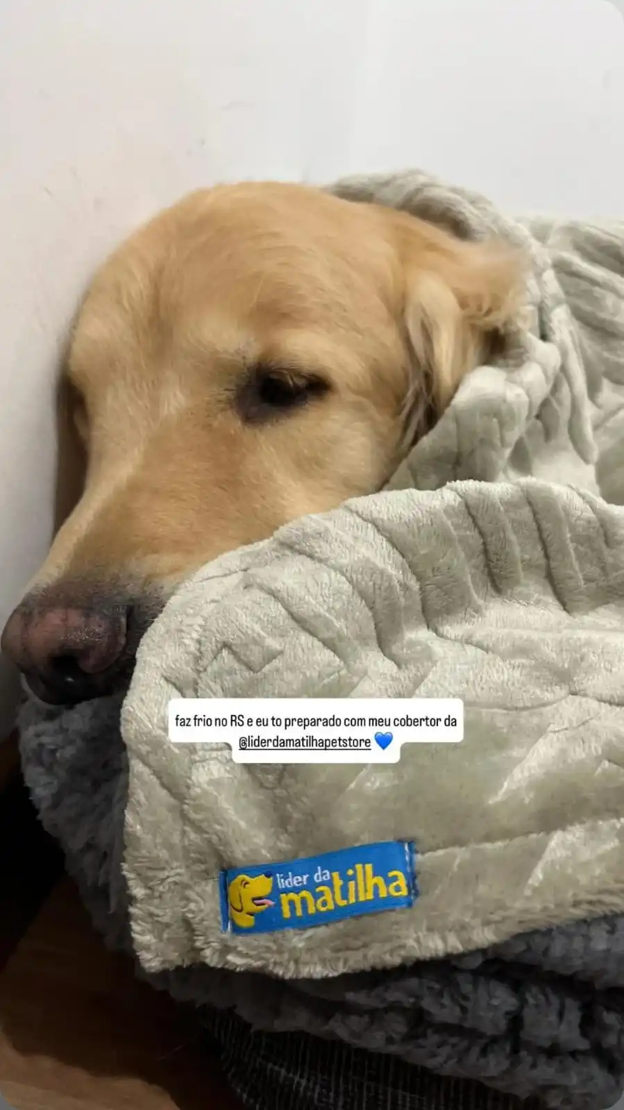 Matilha VIP 🐶🐱 post