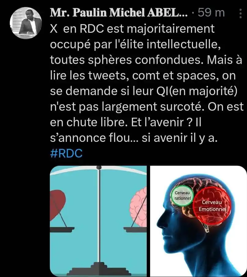 Image from Paulin Michel ABELI jr Paulin Michel ABELI Jr - 𝐈𝐧𝐬𝐩𝐢𝐫𝐀𝐜𝐭𝐢𝐨𝐧: *RÉFLEXION URGENTE* Twitter (ou X) au Congo est devenu le terrain fav...