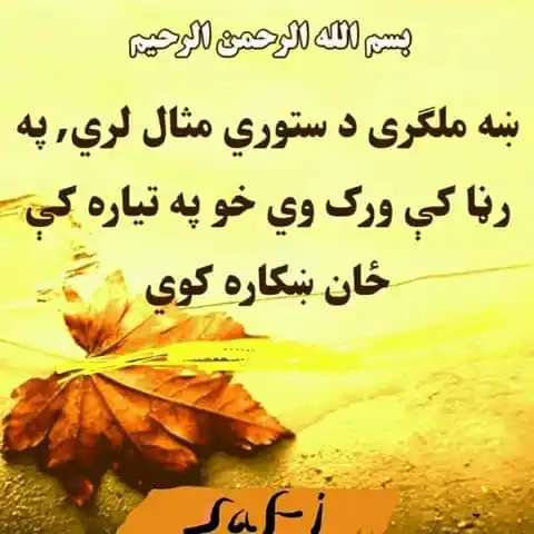 مهم🎙️خبرونه📡 post