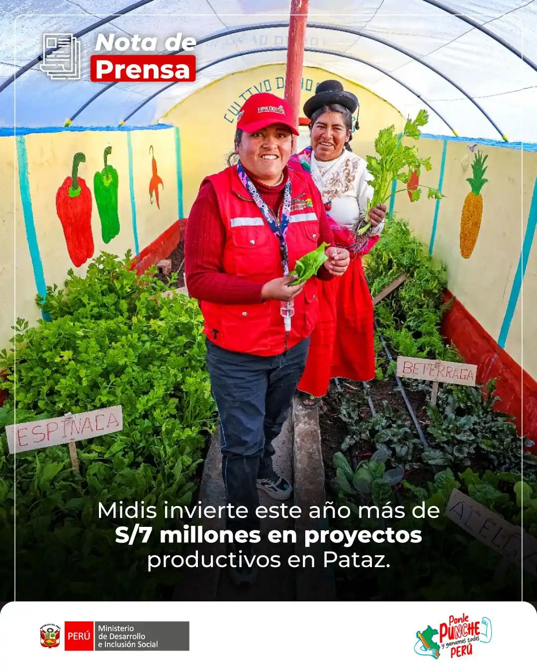 Image from Ministerio de Desarrollo e Inclusión Social: ¡Más oportunidades para el desarrollo rural! 🙌🇵🇪 El Midis, a través...