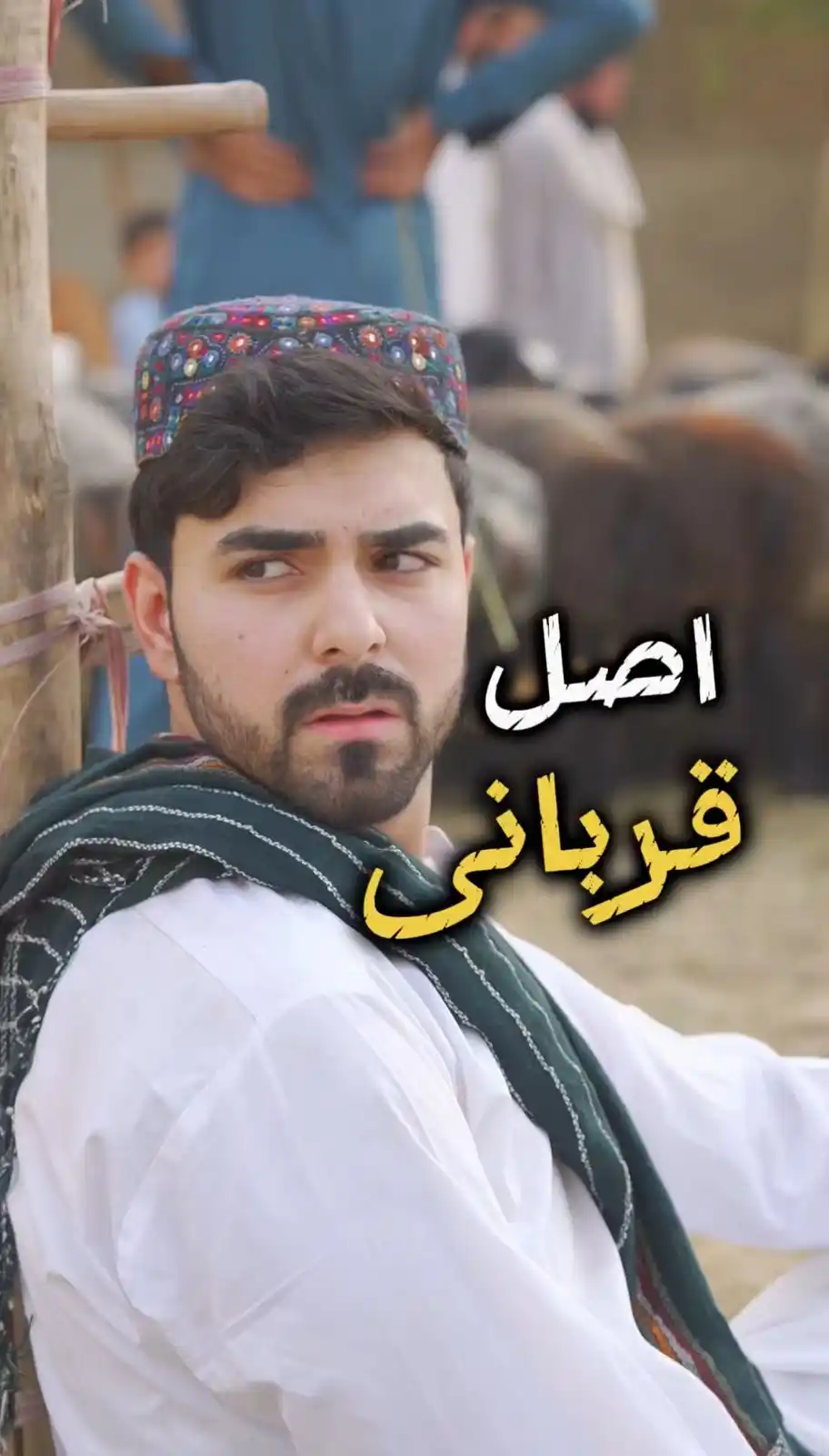 Taim Alam post
